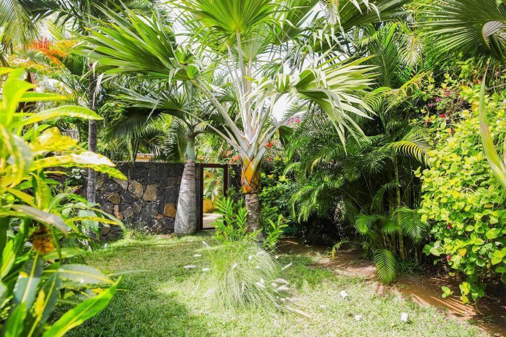 Villa Tropicale Balinaise Intimiste Grand Baie Exterior foto